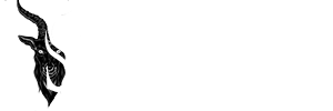 svtvnic.com